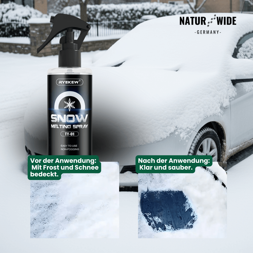 Schnelles Auto-Enteiser Spray – Eis & Frost Entferner (100ml)